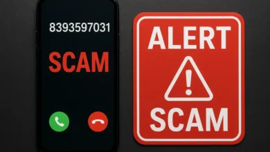 8393597031